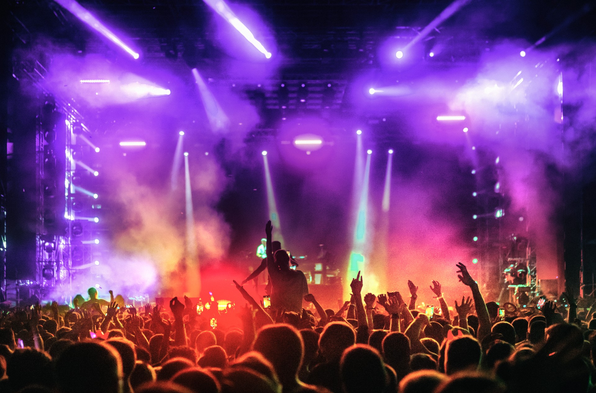 Large group of people at a concert party.